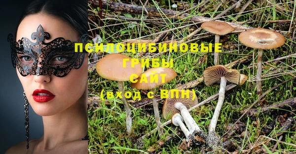 меф Арсеньев